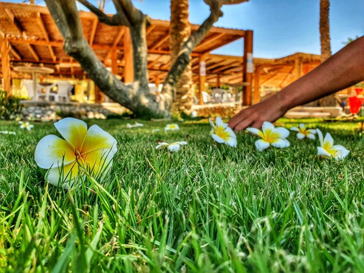 Palm Beach Resort - Families&Couples Only Hurghada Exterior foto